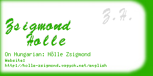 zsigmond holle business card