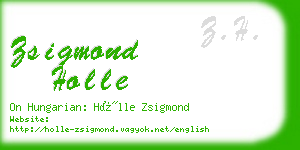 zsigmond holle business card